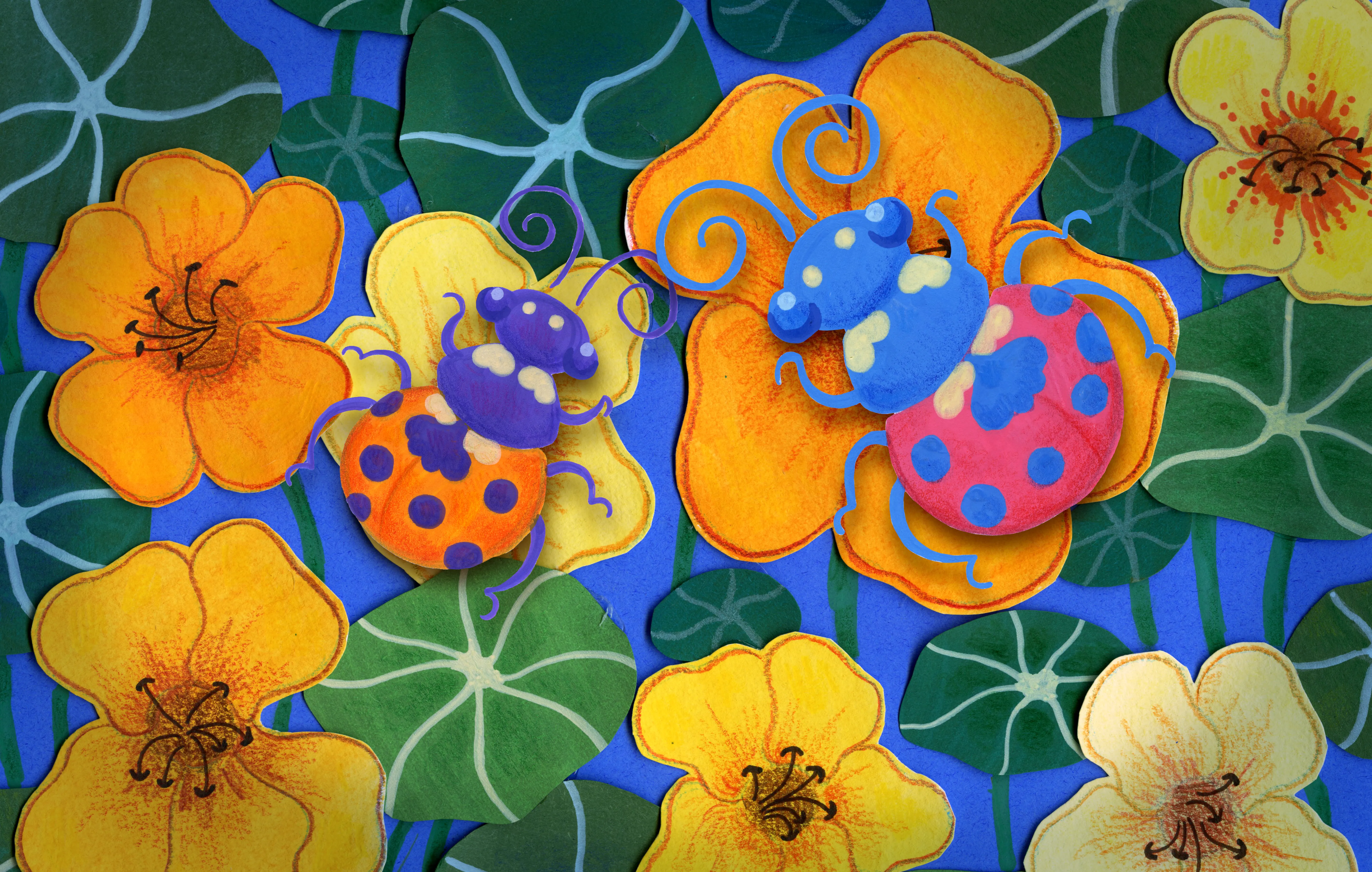 Two 7 spotted ladybugs sitting on some nasturtiums