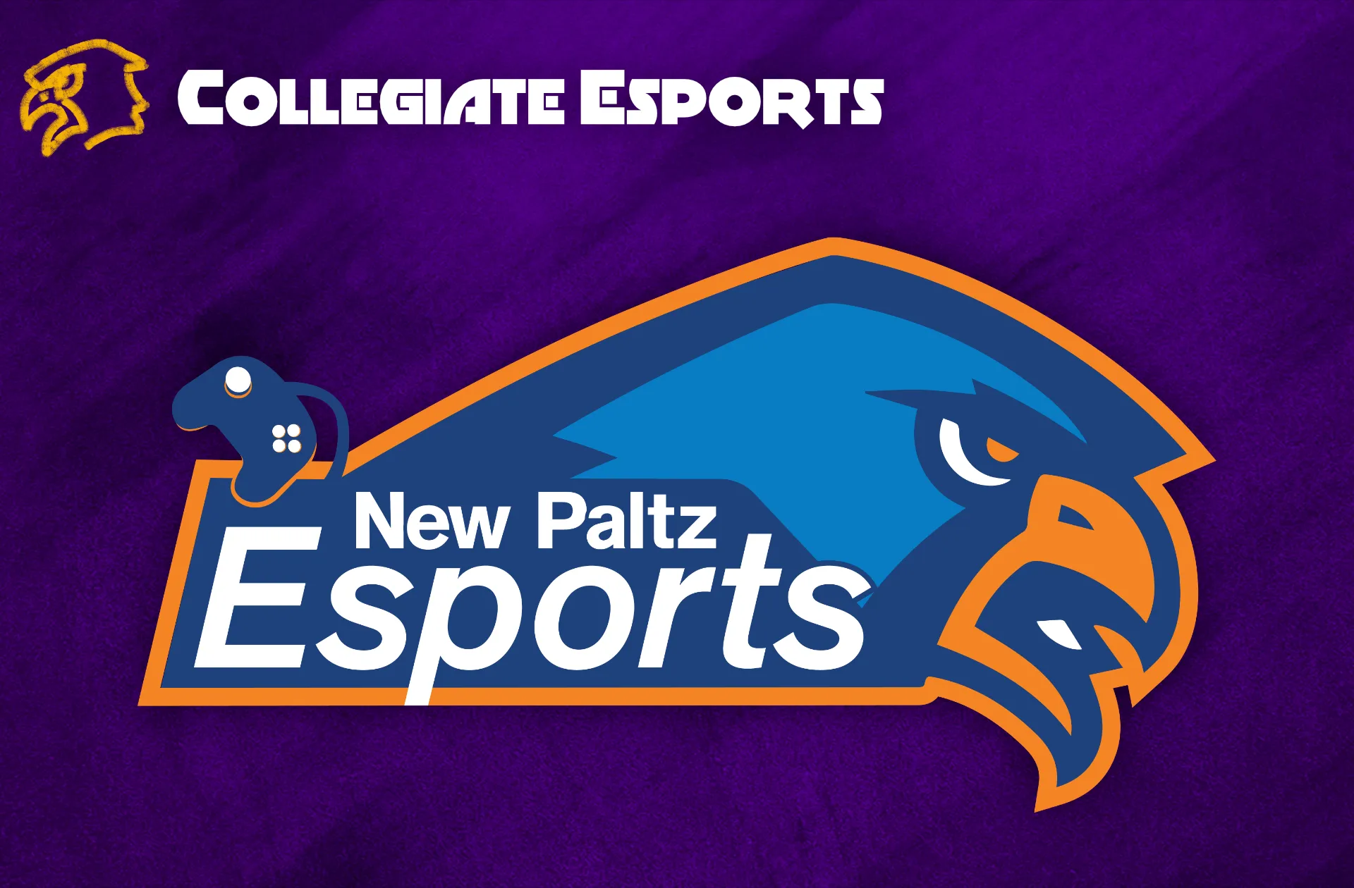 Collegiate esports example for Esports Visualized: New Paltz Esports