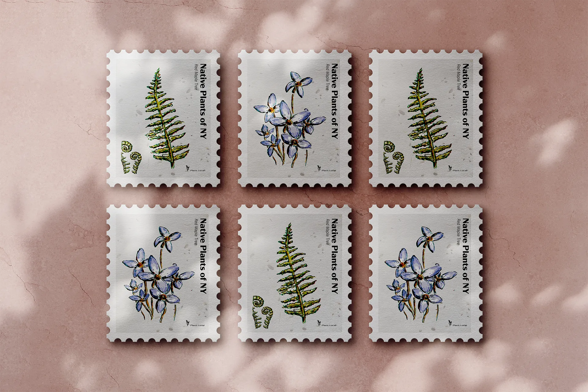 A mockup grid of six postage stamps featuring hand-drawn native plants of New York with the specie name listed vertically next to each plant.